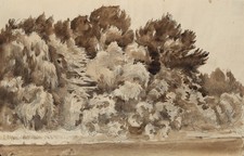 Expressives Waldstück aus