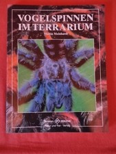 Vogelspinnen im Terrarium 
