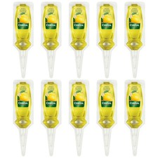 Chrysal Zitruspflanzen