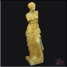 Statue Figur Venus Büste