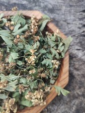 Wilde Glastonbury Dornblüten