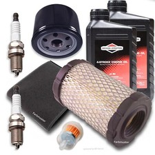 Wartung Zündkerze Luftfilter Briggs Stratton 2 Zylinder Intek Series 7 8 40N 44R