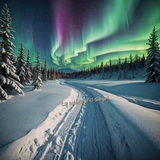 Polarlichter Lappland Winterlandschaft Leinwandbild Schnee Natur