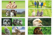 3D Lesezeichen Tiere 15x5cm