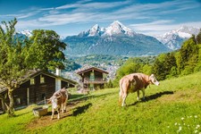 Wandbild: Wunderschöner