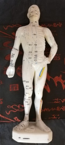 Akupunktur modell figur - modell,