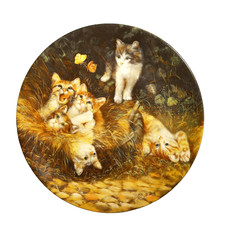 Seltmann Weiden Sammelteller -