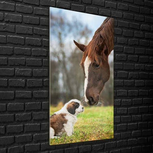 Wandbilder glasbilder - wandbilder,