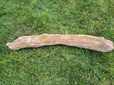 81 cm XL Treibholz Schwemmholz