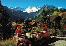 Adelboden brunnentrog blick - be,