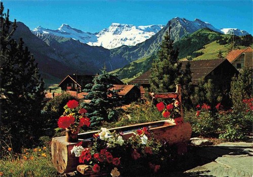 Adelboden brunnentrog blick - adelboden,