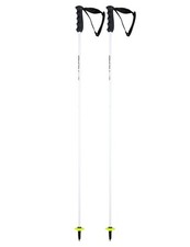 Neue Skistöcke HEAD WORLDCUP