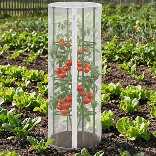 Tomatenkäfig netz abdeckung - netz,