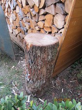 hackklotz hauklotz spaltklotz