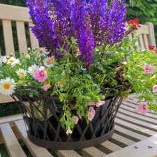 Blumenkorb (Jardiniere) Eisen