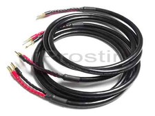 Neotech NES-3005G Hi-Fi