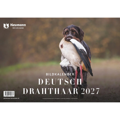 Deutsch drahthaar kalender - drahthaar,