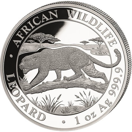 Somalia 100 shillings 2026 - 100,