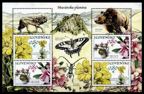 Flora und fauna der - und, hochebene