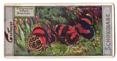 Sammelbild gartmann - sammelbild,