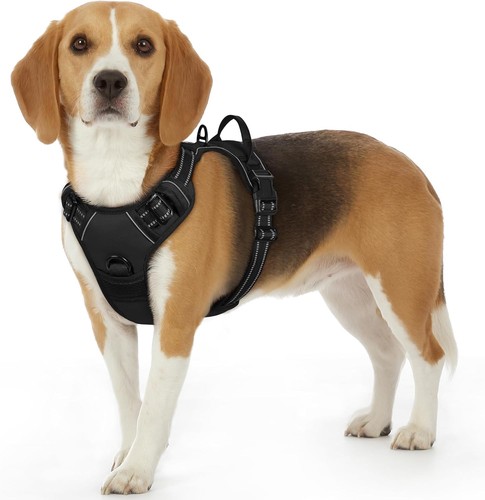Eagloo hundegeschirr kleine - hundegeschirr,