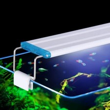 Aquarium Lighting Aquatic