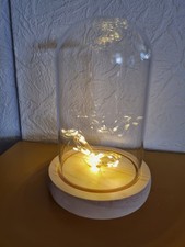 LED Deko in Glaskuppel beleuchtet Weihnachtsdeko Holz natur OVP