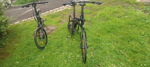 Gerne verge von 2021 - p,
