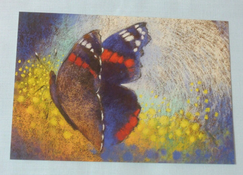 Postkarten schmetterling - 1x,