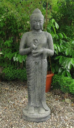 Meditations buddha - ,