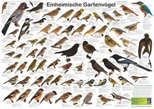 Bio-Poster "Einheimische