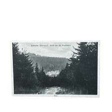 Postkarte AK Schierke Oberharz