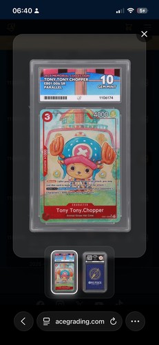 Chopper eb01 006 - eb01-006, 10