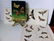 Europäische Nachtfalter. 24