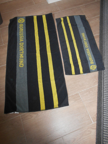 Bvb borussia dortmund - borussia,