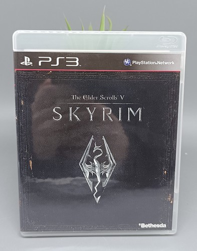 The elder scrolls skyrim - the,