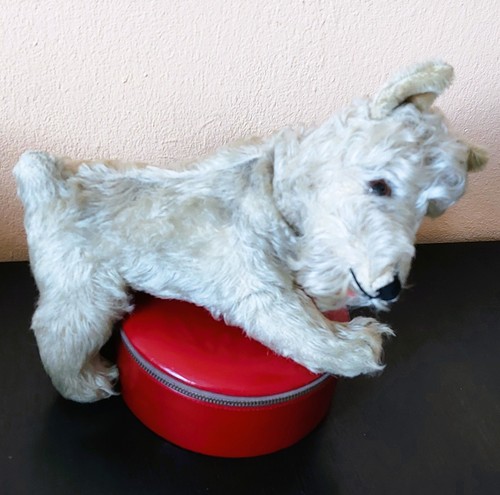 Alter großer grauer hund - ,
