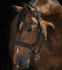 Horseware Rambo Micklem