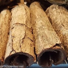 2 Seemandelbaumrinde Röhre ca.3-4cmØ x ~12cm Höhle Versteck Seemandelbaumblätter