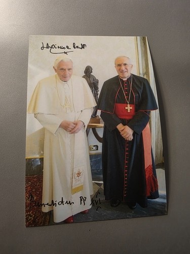 Papst benedikt xvi - benedikt,