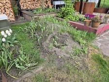 mutterboden zu verschenken