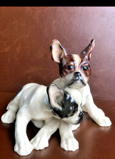 Französische Bulldoggen