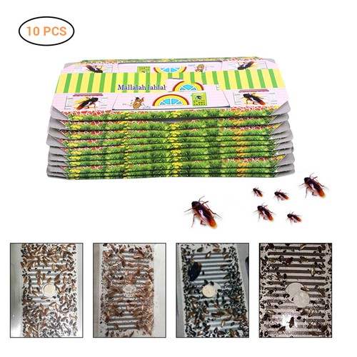 Silberfischfalle 10er pack - silberfischfalle, –