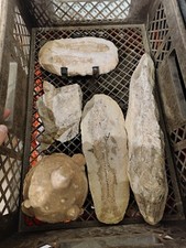 🔥Komplette Sammlung