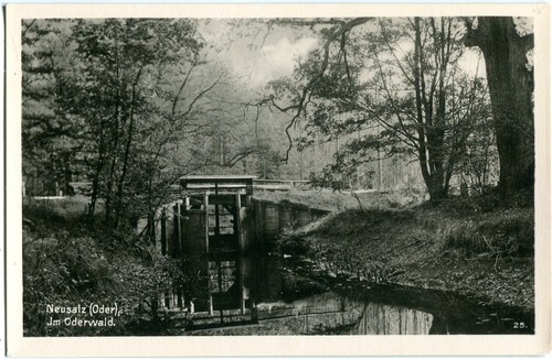 Neusalz oder im oderwald - ak, /oder