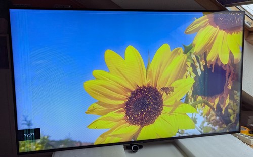 Löwe loewe bild - 1.65, ultrahd