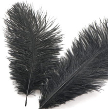 Natürliche Straußenfedern 10 Stück 15-20cm Schwarz Basteln Traumfänger Deko
