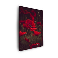 Leinwand-Bilder Botanik Rote Mohnblumen, Blumen, Größe 30x40 bis 80x120