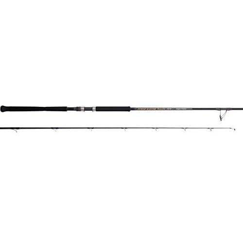 Tenryu spinnrute power master - power,