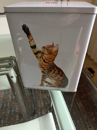DOSE,viereckig,Katzen-Futter-D